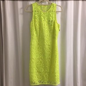 New With Tag - J.Crew Lace Sheath dress